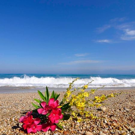 Almyra Beach House Corfu Almiros Beach Zewnętrze zdjęcie