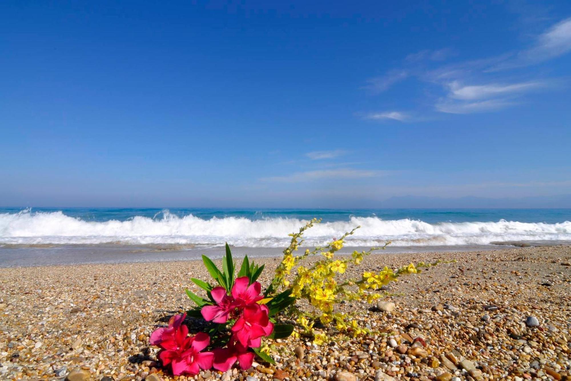 Almyra Beach House Corfu Almiros Beach Zewnętrze zdjęcie